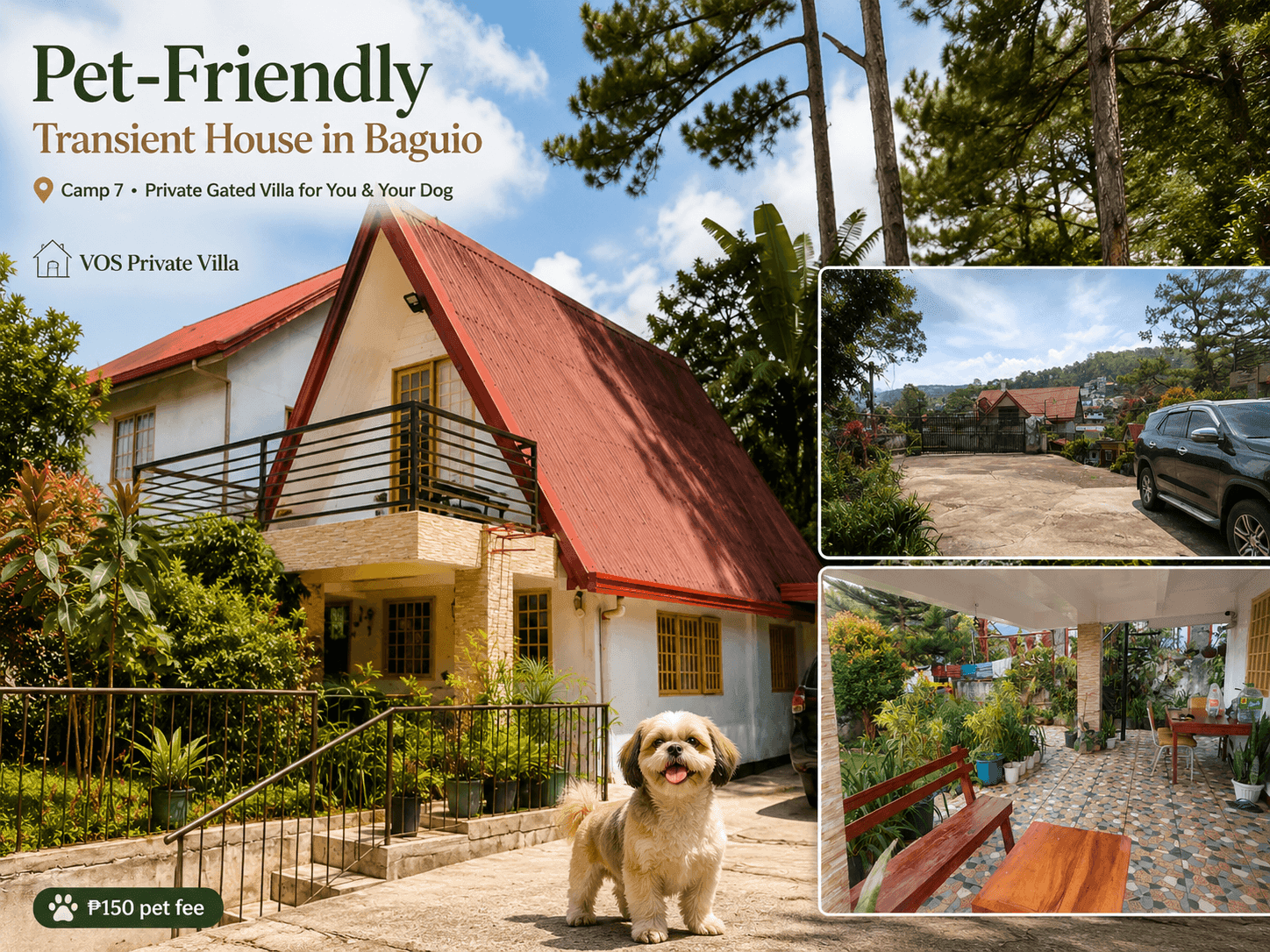 Pet-Friendly Transient House in Baguio, Camp 7: An Owner's Honest Guide to Bringing Your Dog