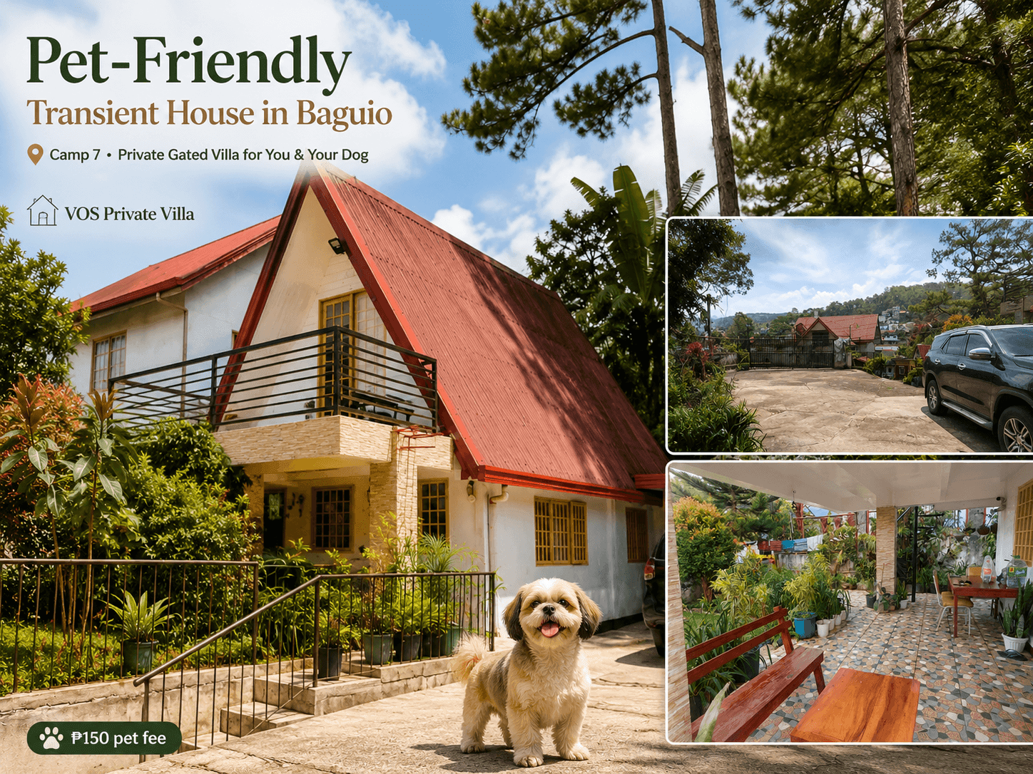 Pet-Friendly Transient House in Baguio, Camp 7: An Owner's Honest Guide to Bringing Your Dog